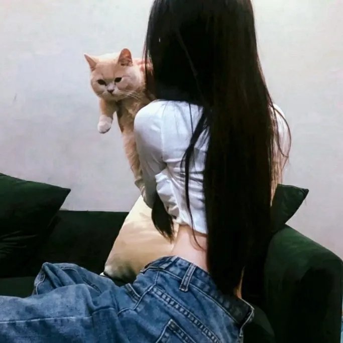 完美嫌疑人
